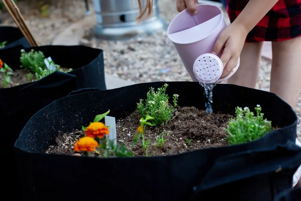 Ventajas de las Bolsas de Cultivo para Huertos Urbanos
