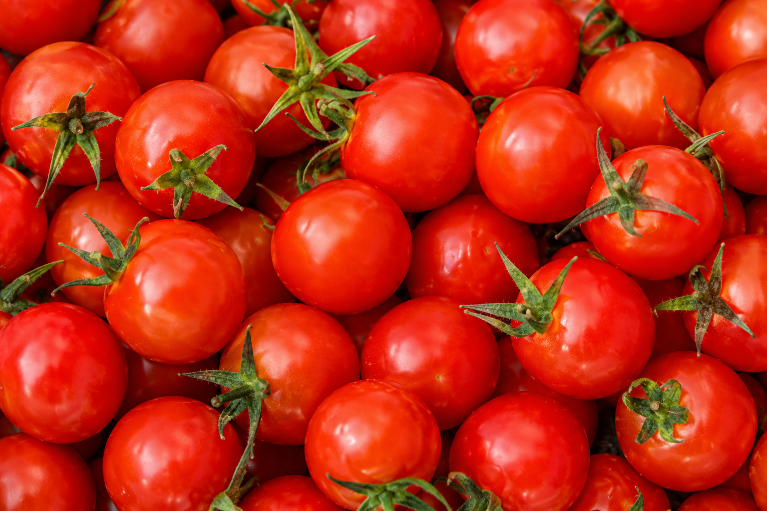 Tomate Cherry Rojo