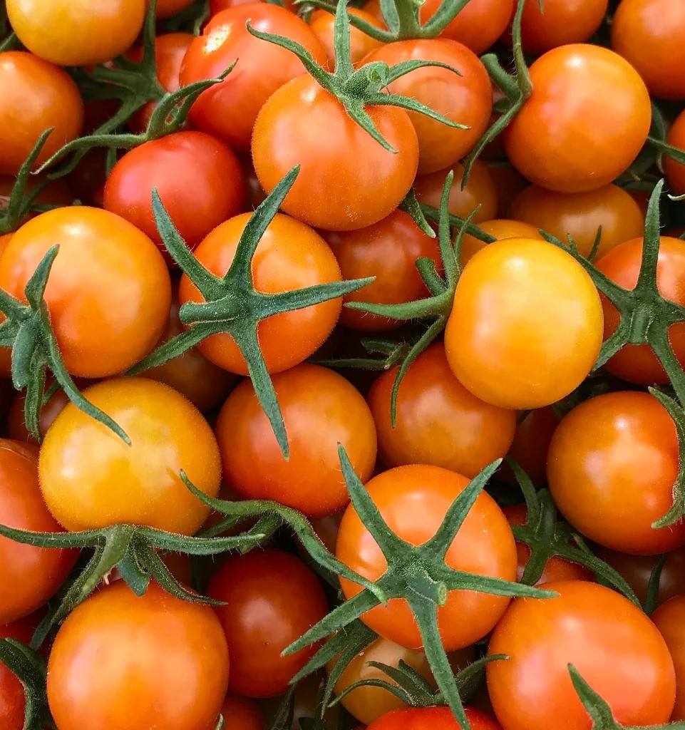Tomate Cherry Caramelo