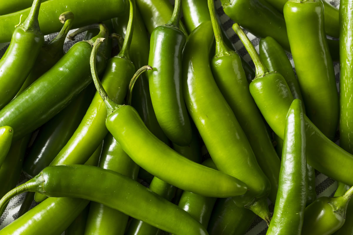 Chile Serrano