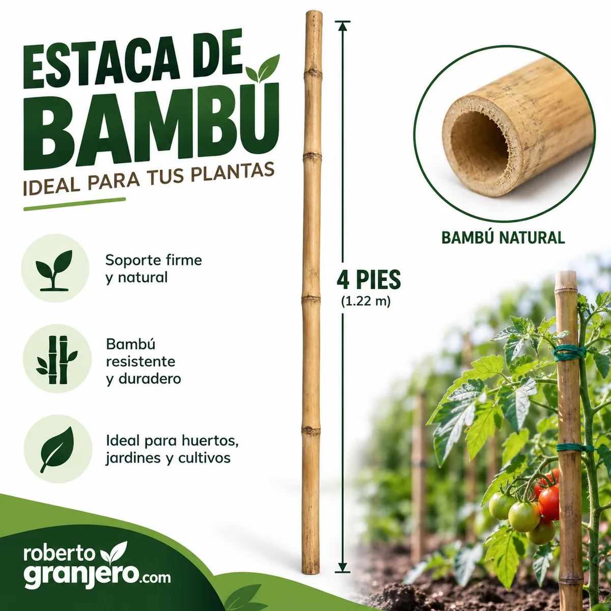Estaca de Bambú de 4 Pies