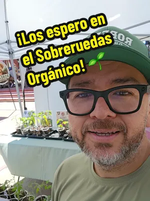 🌱 ¡Ya estamos en el Sobre Ruedas Orgánico! Ya tengo todas las plantitas listas aquí en Playas de Tijuana y hasta me empezaron a consentir desde temprano: unos clientes llegaron por sus plantas y me t